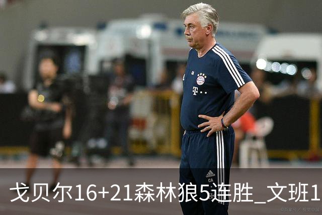 戈贝尔16+21森林狼5连胜 文班12+10马刺15连败